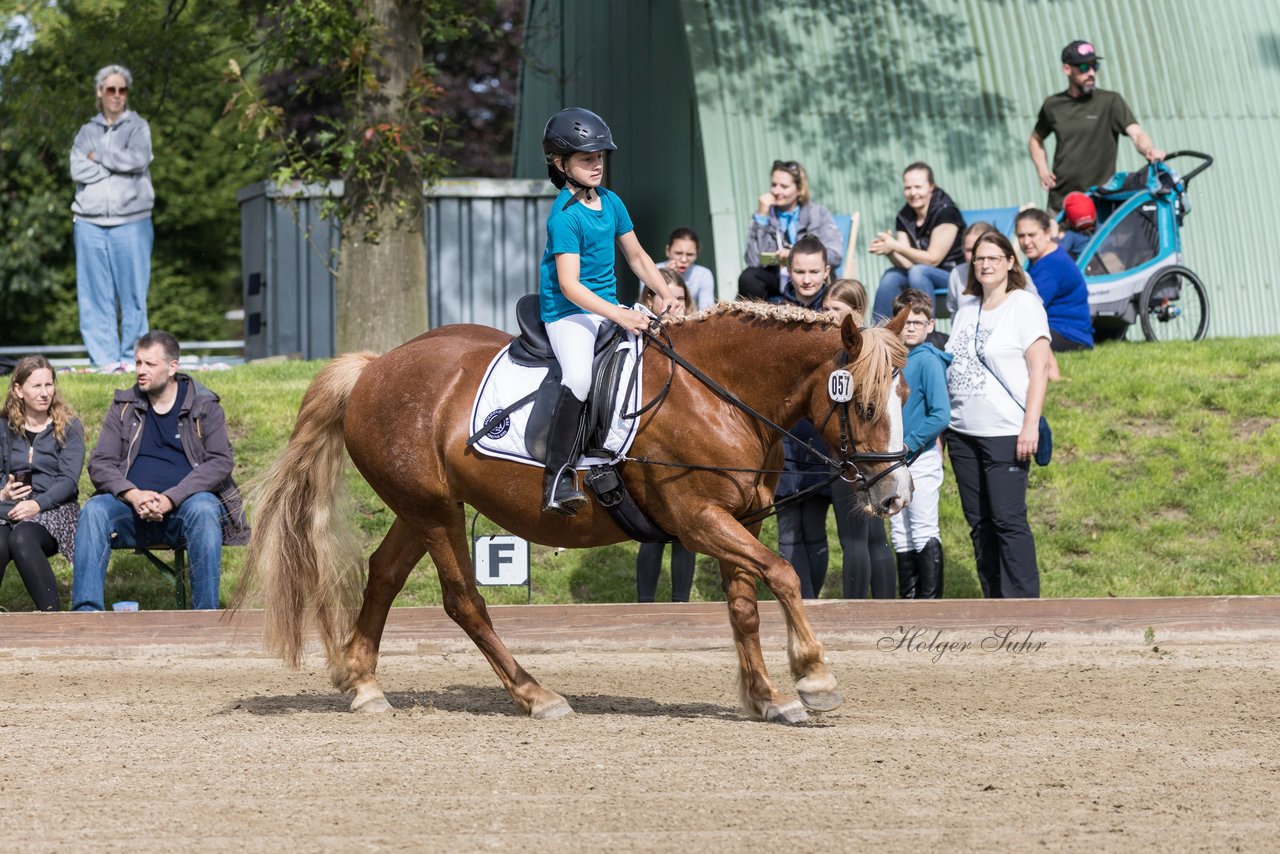 Bild 76 - Pony Akademie Turnier